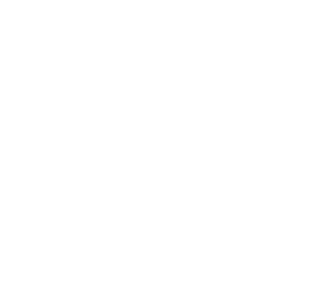 The Central Park Hotel